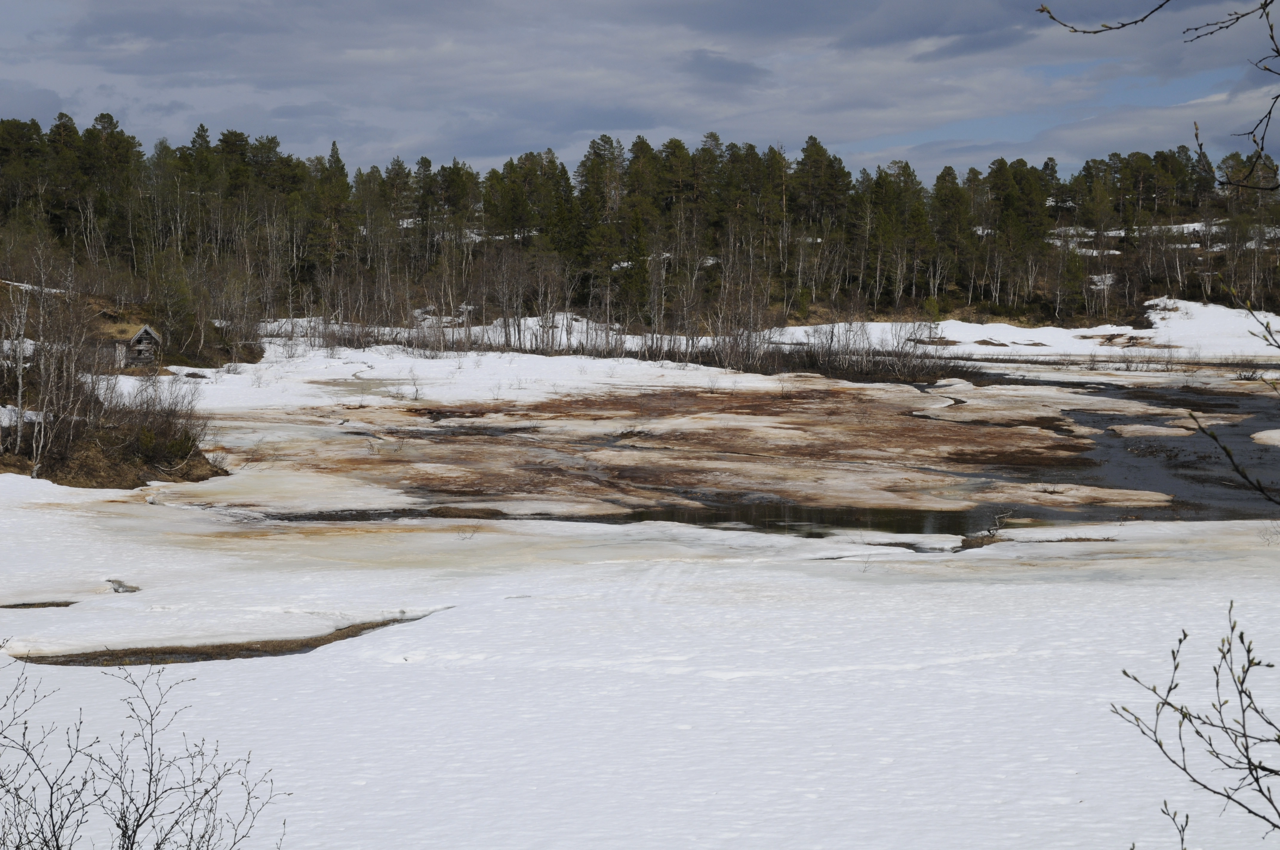 NIN-3.0-T-A-LV-TM-0-M-D02 Elveflommyr.