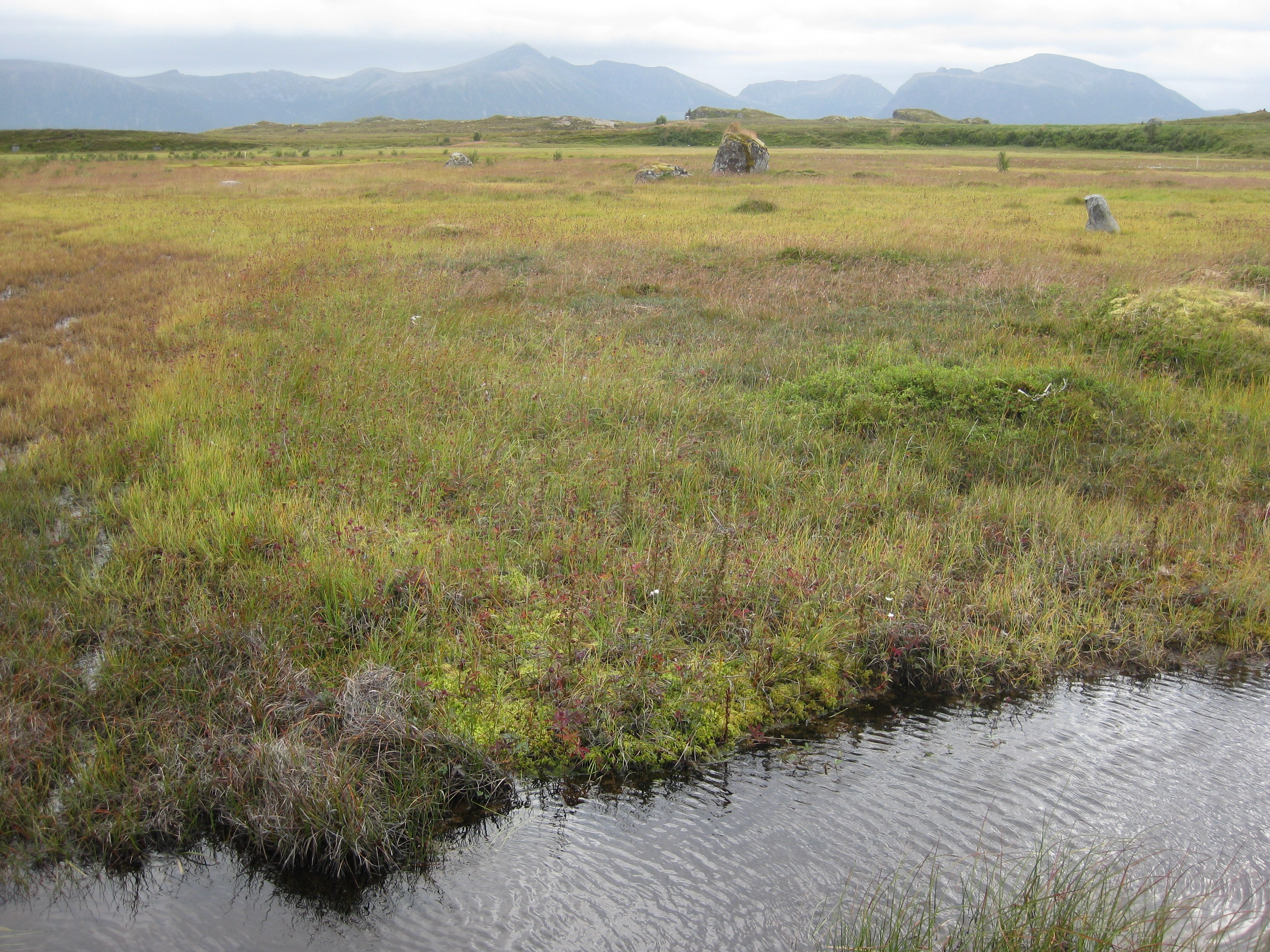 NIN-3.0-T-A-LV-TM-0-M-D03 Saltflommyr.