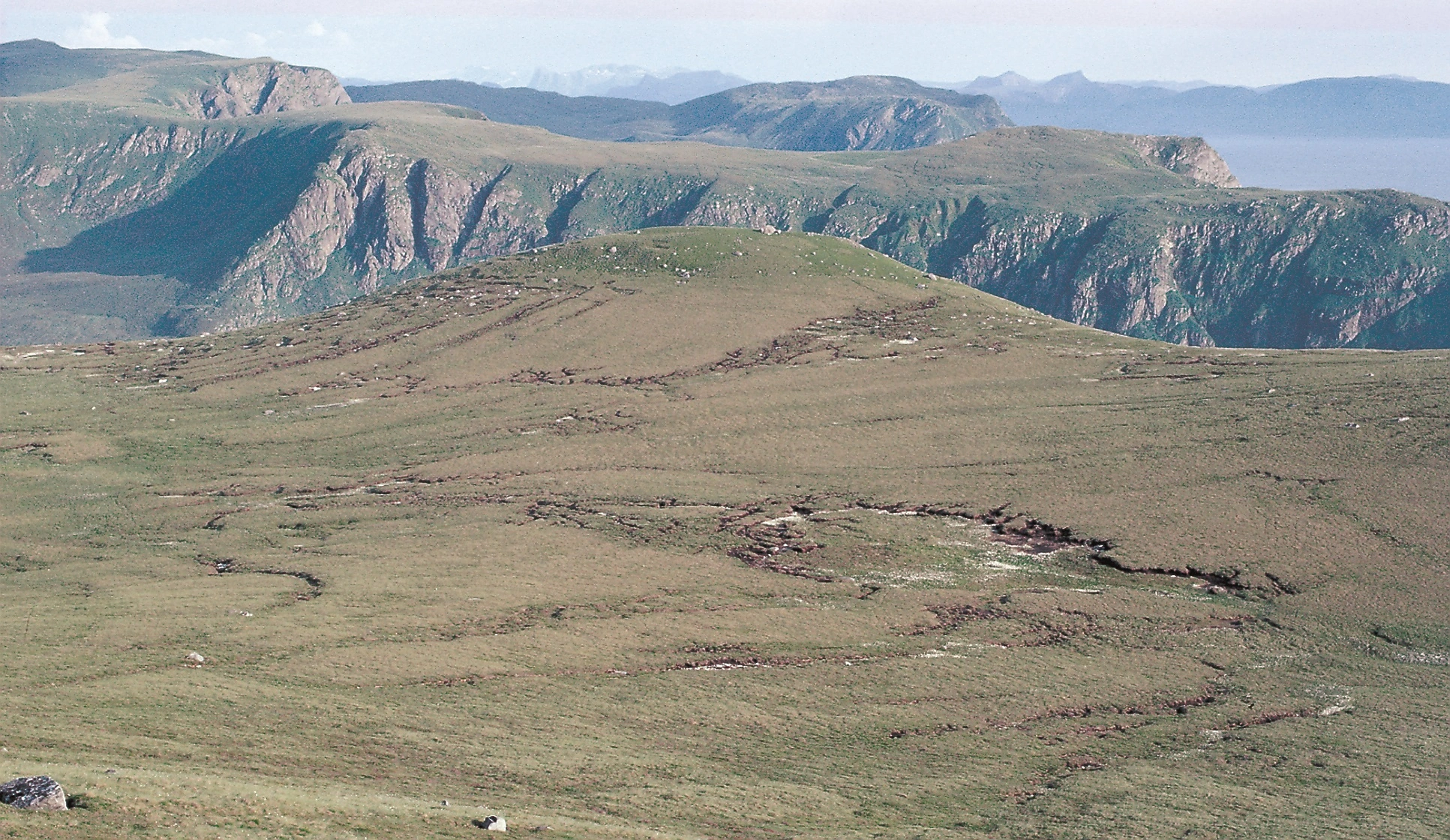 NIN-3.0-T-A-LV-TM-0-TM-G Ombrogent ikke-hvelvet torvmassiv. NIN-3.0-T-A-LV-TM-0-M-G01 Terrengdekkende myr.