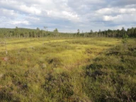 Midtfjellmåsan, Aurskog-Høland, Akershus.
