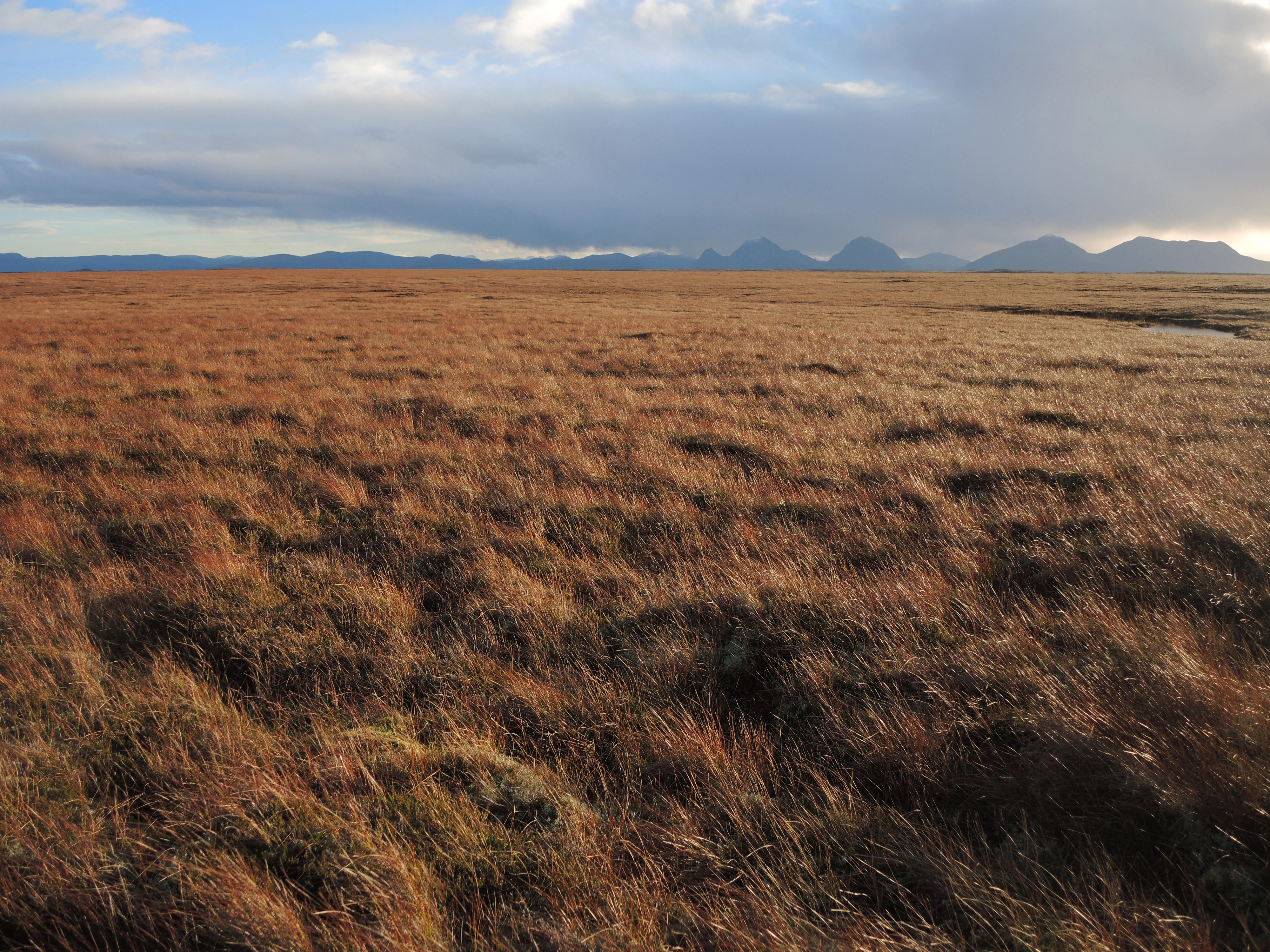 NIN-3.0-T-A-LV-TM-0-M-H01 Atlantisk høgmyr.