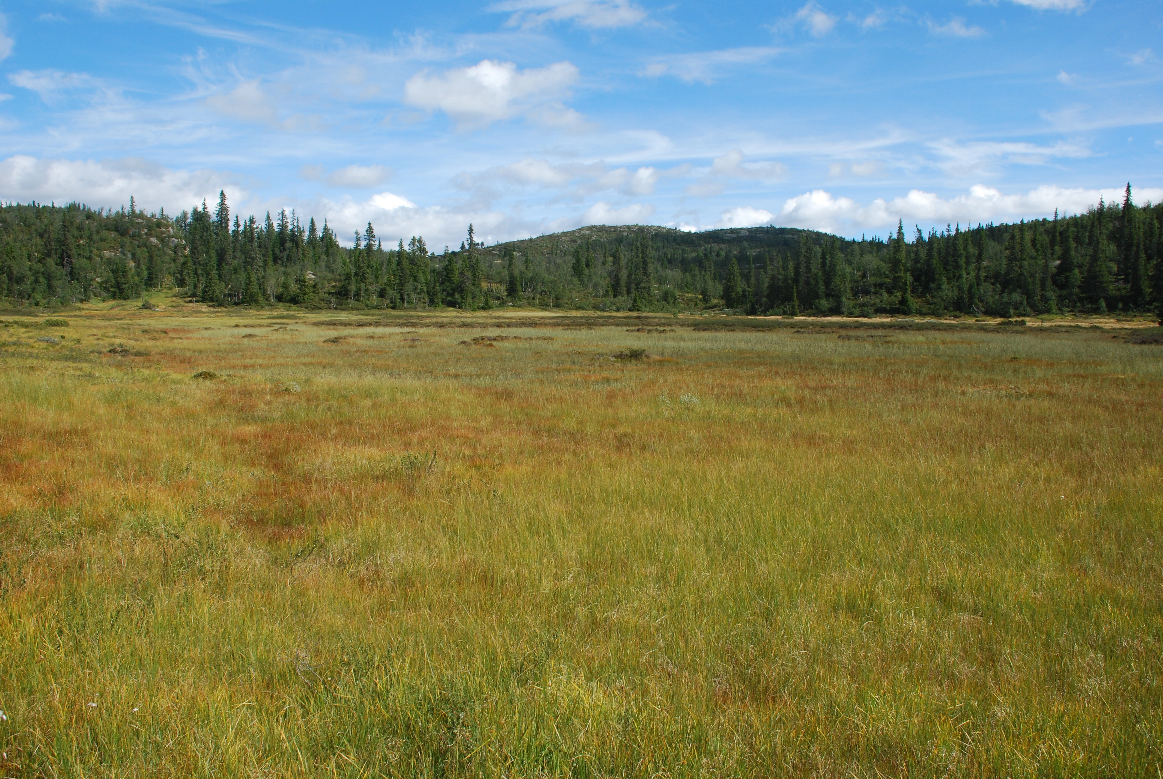 NIN-3.0-T-A-LV-TM-0-M-A02 Flatmyr.