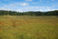 Ved Listaulnuten i Svartdalsheiane, Seljord, Telemark.
