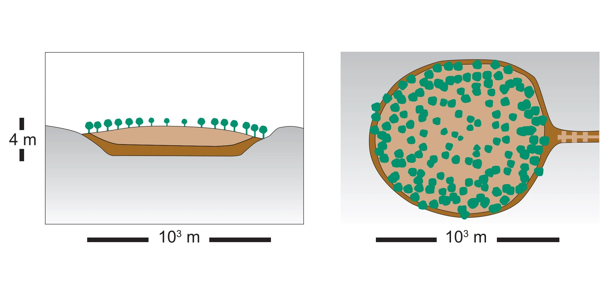NIN-3.0-T-A-LV-TM-0-M-H05 Skogshøgmyr.