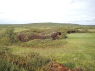 Palsmyr. Šuoššjávri, Karasjok, Finnmark.
