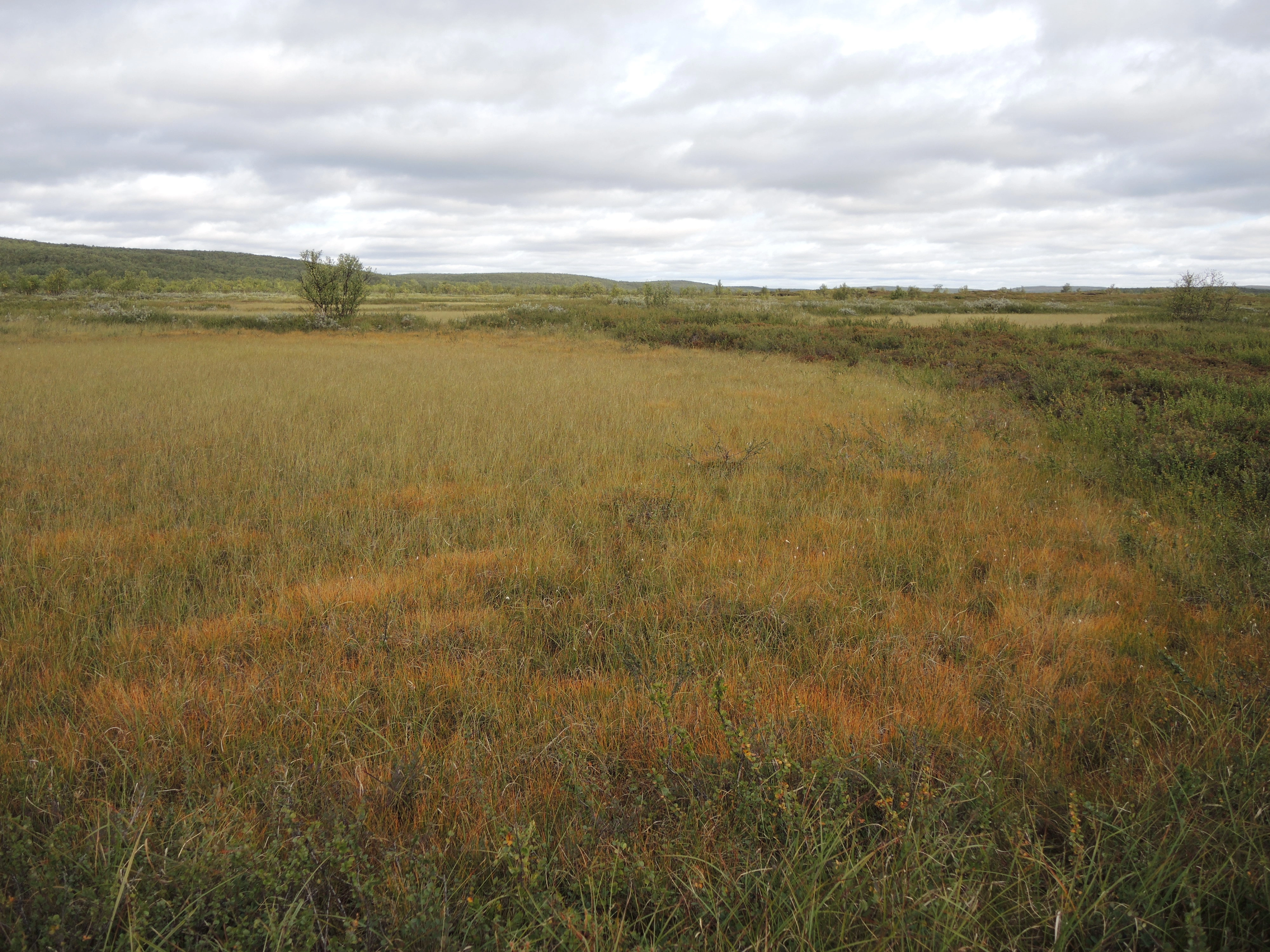 NIN-3.0-T-A-LV-TM-0-M-E02 Palsmyr.