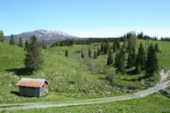 Et eksempel fra en leirravine fra Nesåa i Nord-Trøndelag. Dette er grunn ravine som er beitet. Det åpne landskapet gjør at formen synes tydelig. Det går en liten bekk i bunnen av ravinen.
