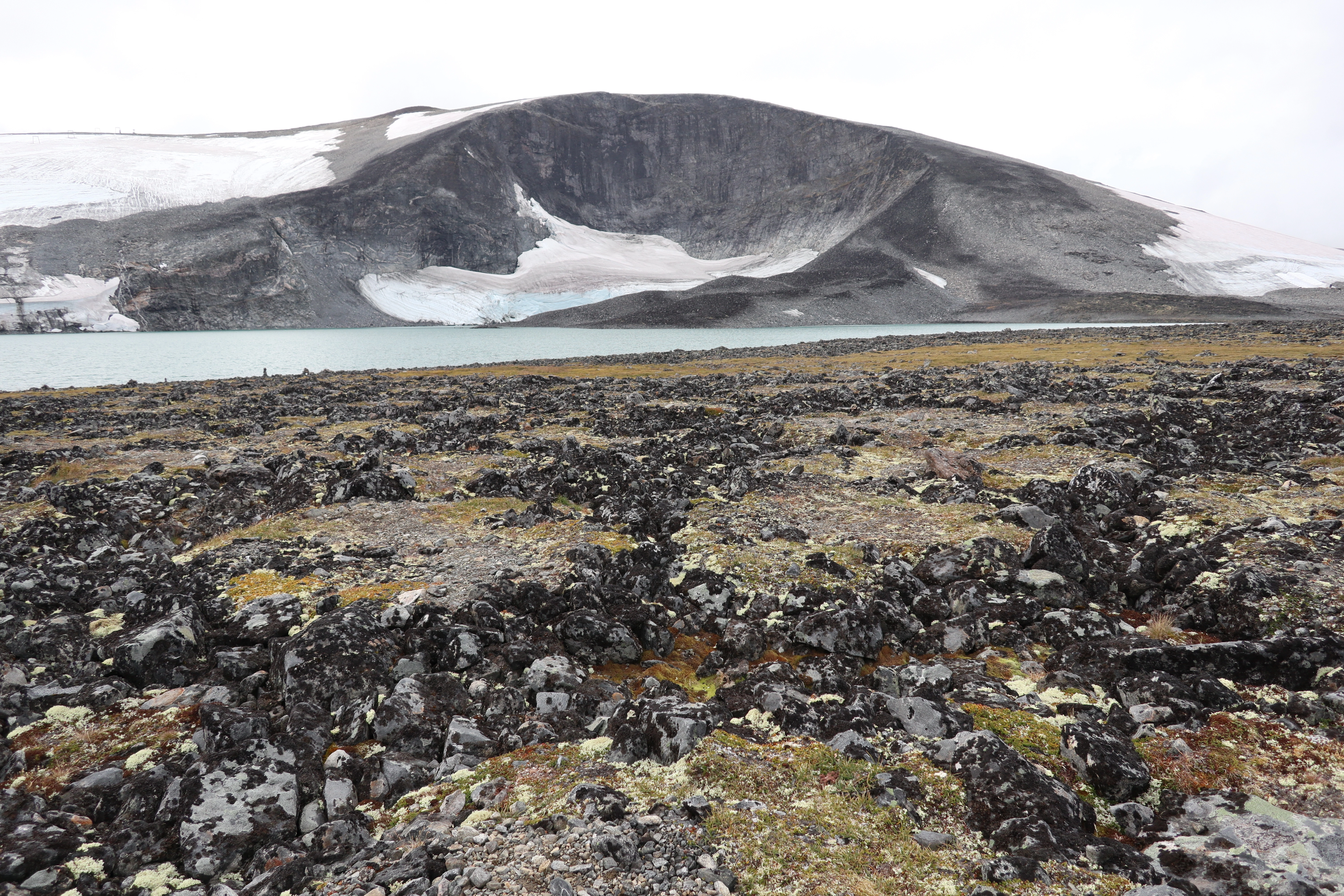 NIN-3.0-T-A-LV-BM-0-M-A05 Botnbre.