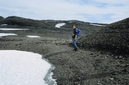 Bilde av Bresjøstrandlinje