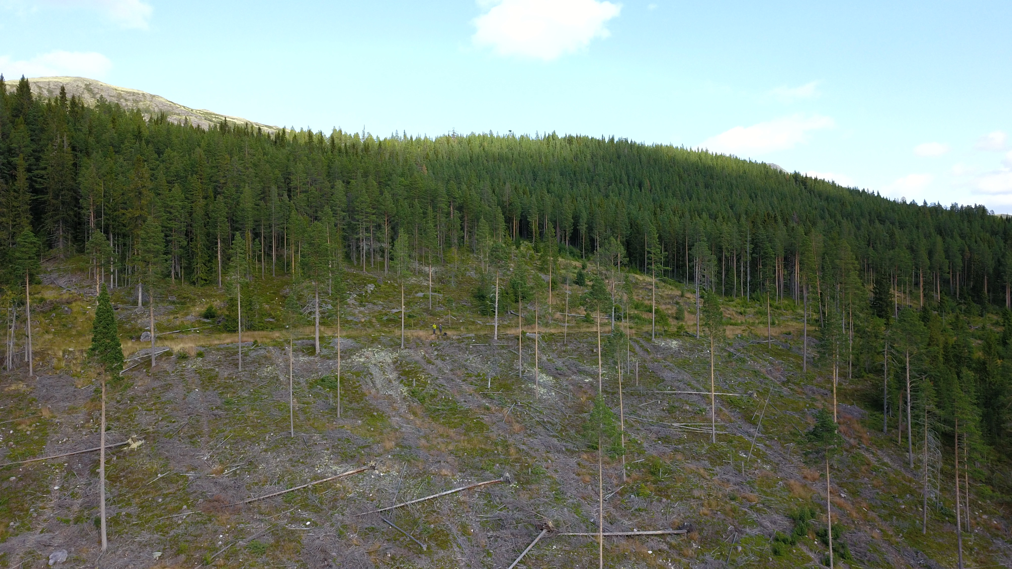NIN-3.0-T-A-LV-FL-0-L-C05 Bresjøstrandlinje.
