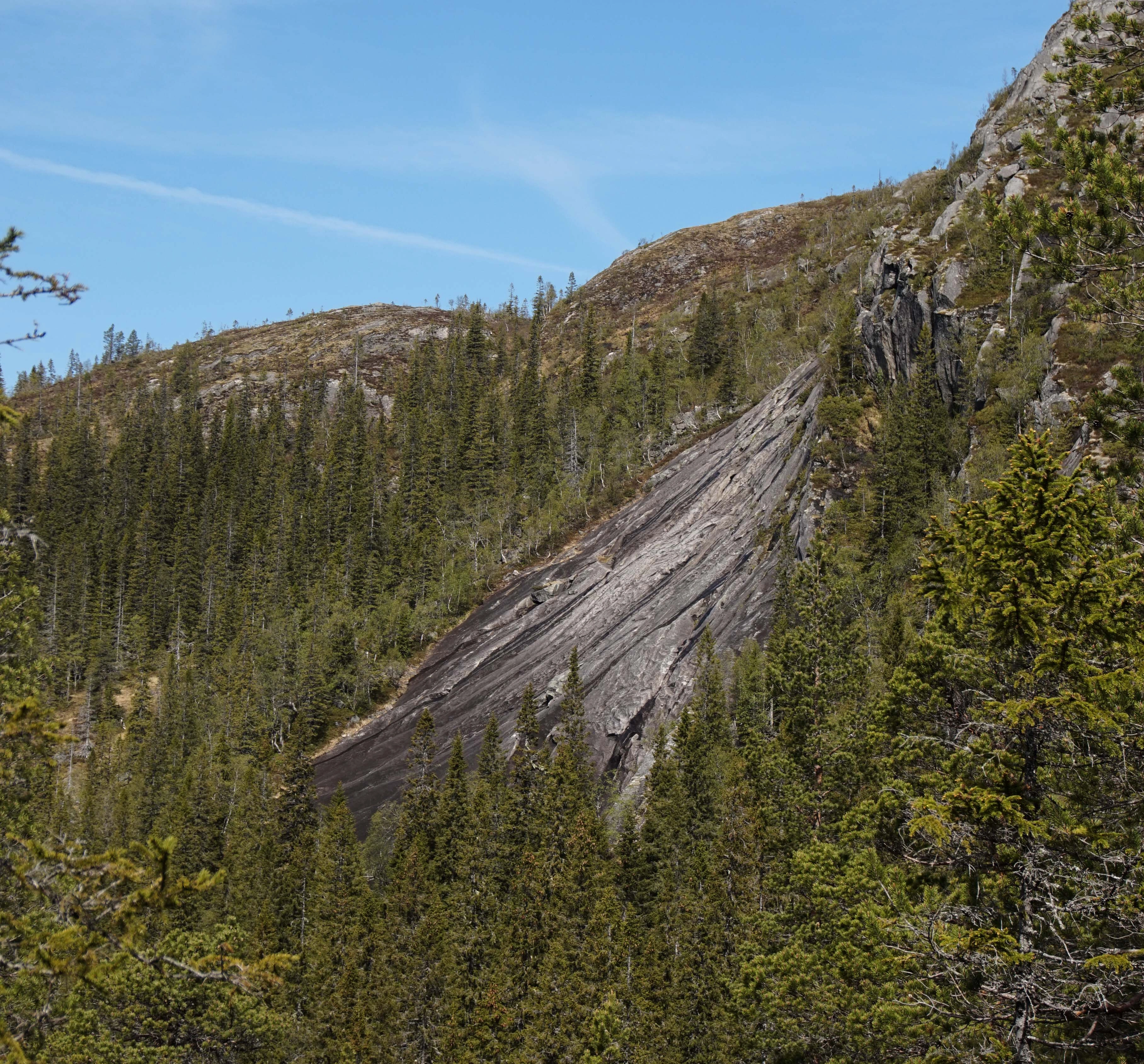 NIN-3.0-T-A-LV-FL-0-L-H08 Dalsidesva.