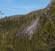 Storbakkan er en dalsidesva like ved Store Fiskåvatnet. Høylandet, Nord-Trøndelag.
