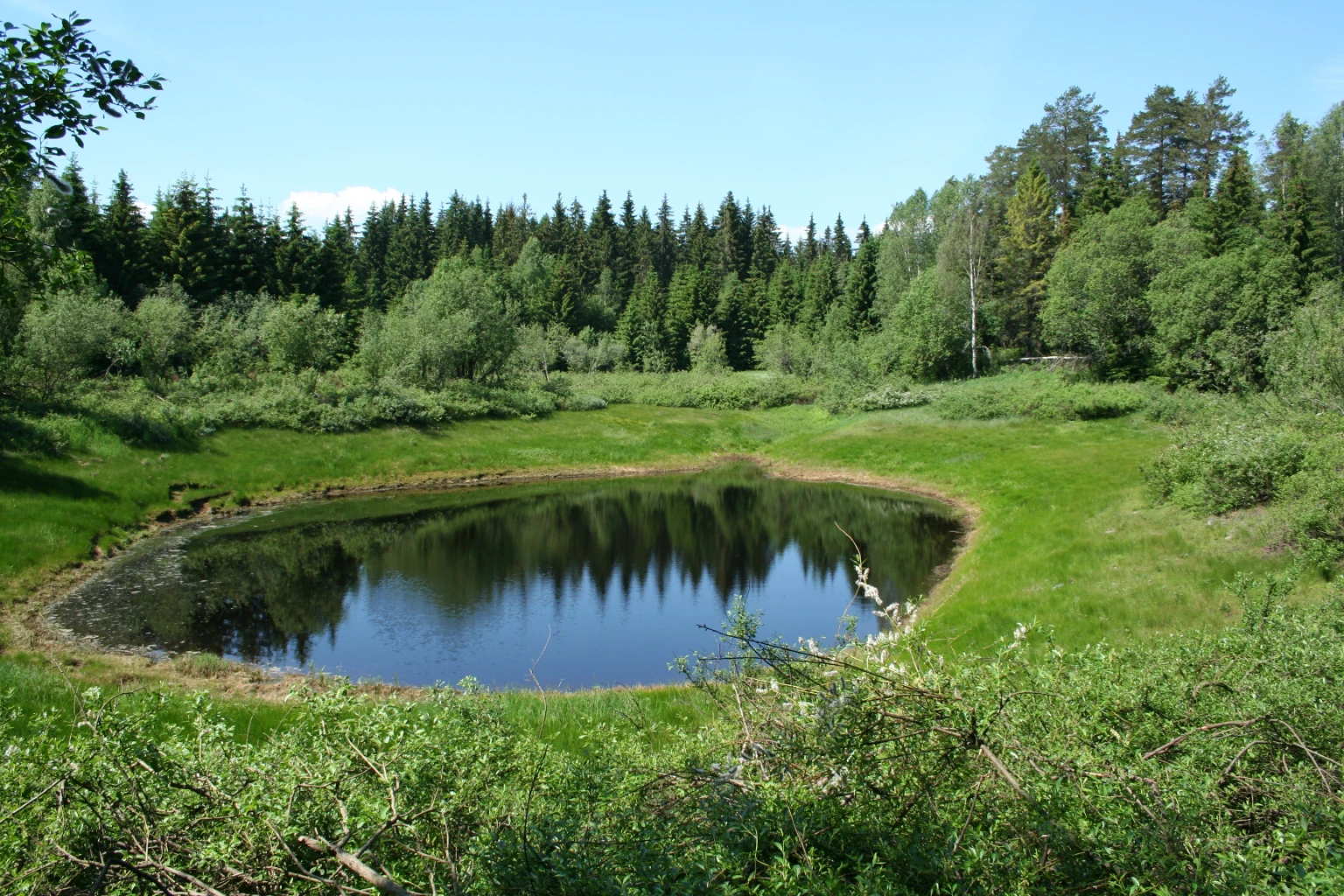 Bilde av naturtypen