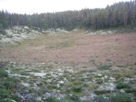 Dødisgrop i glasifluvial avsetning (breelvdelta). Grimsmoen, Folldal, Hedmark.
