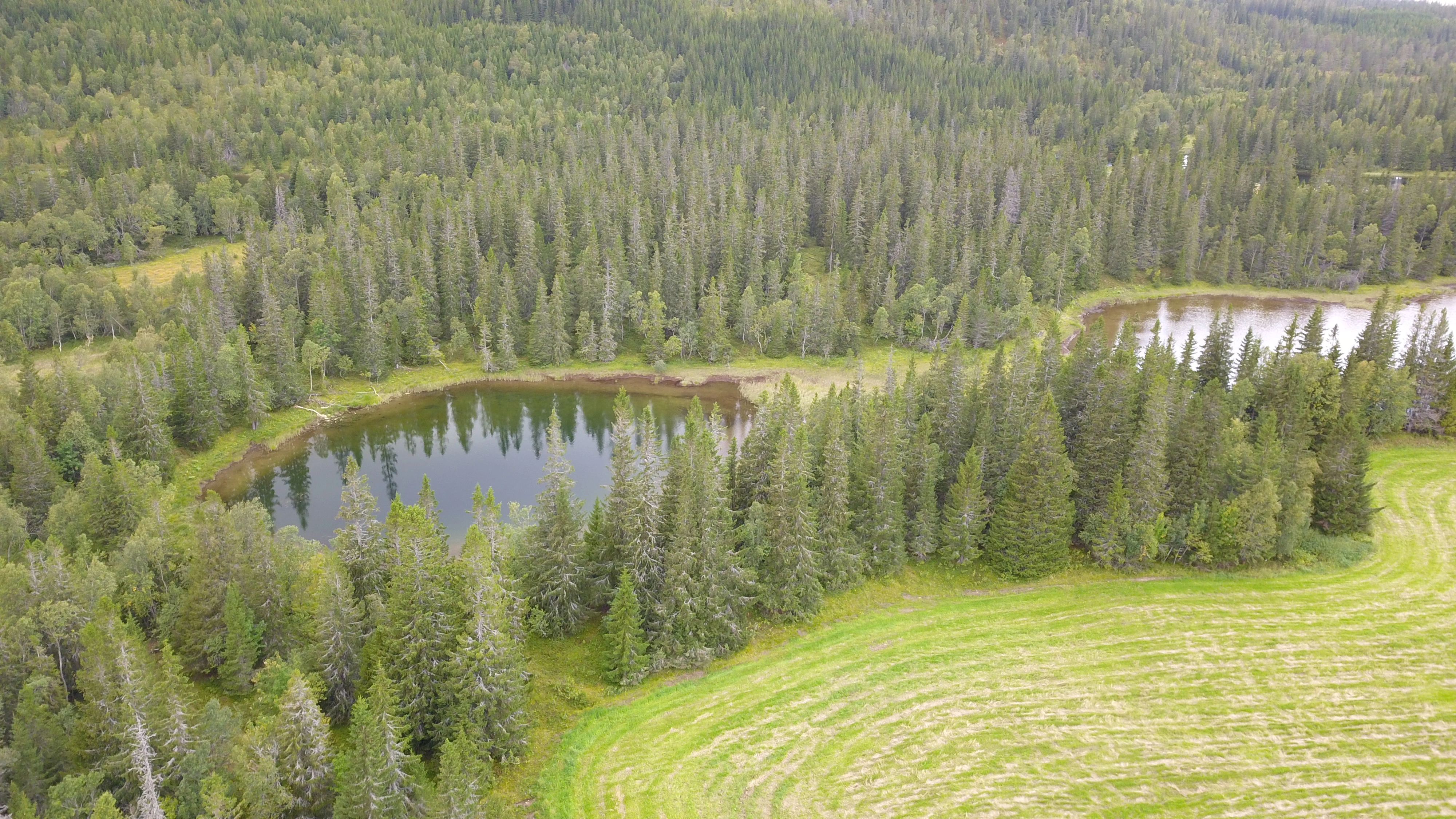 NIN-3.0-T-A-LV-FL-0-L-H03 Dødisgrop.