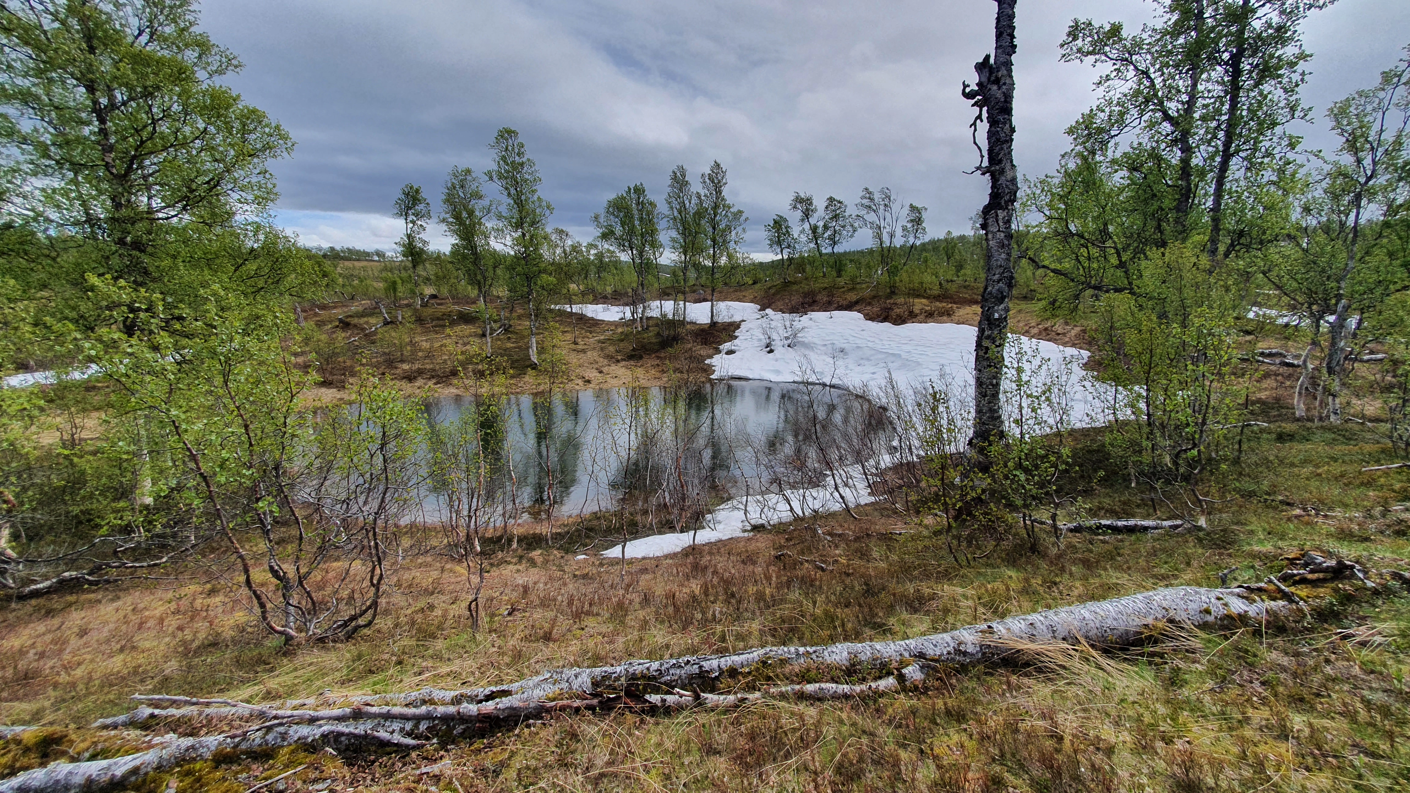 NIN-3.0-T-A-LV-FL-0-L-H03 Dødisgrop.