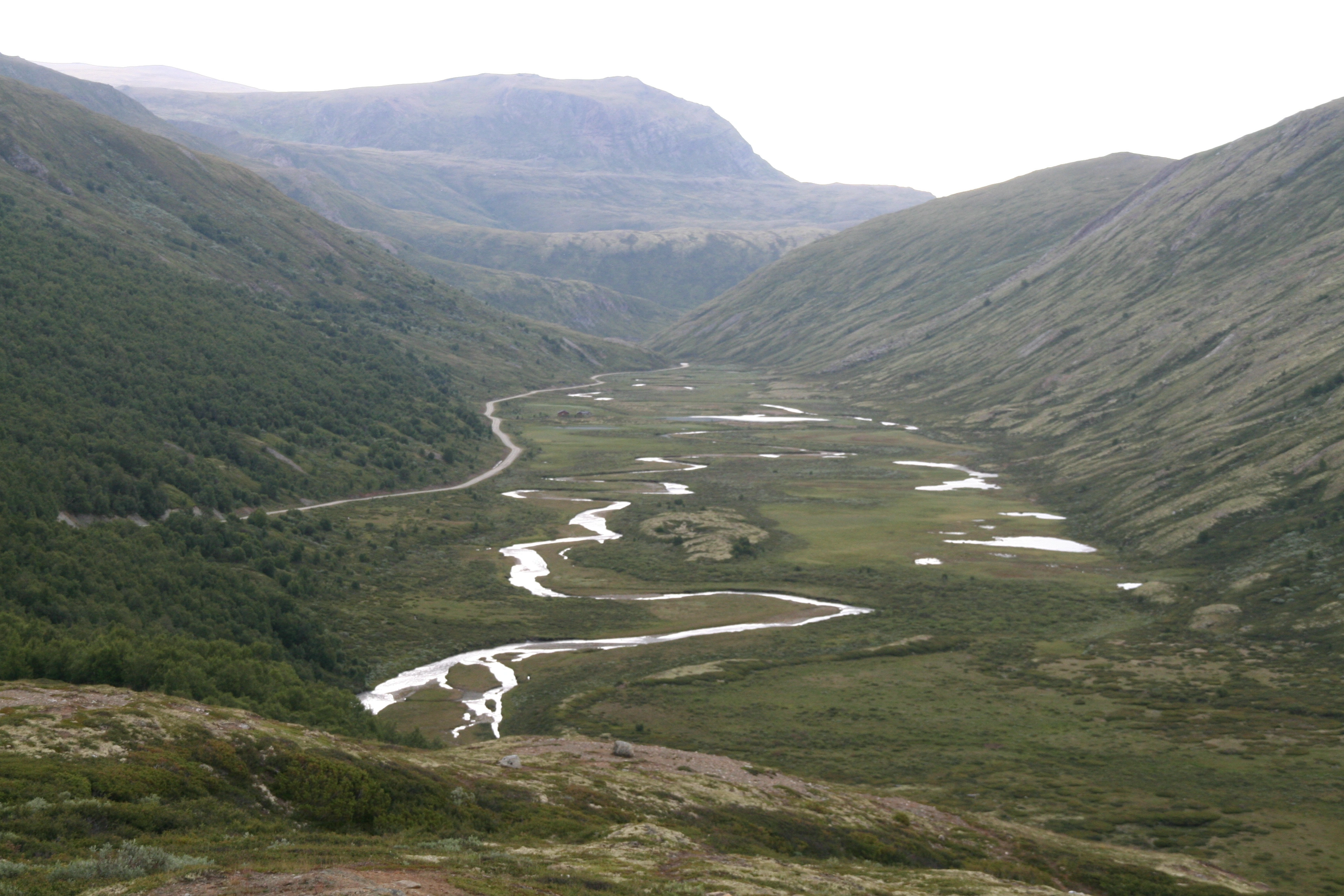 NIN-3.0-T-A-LV-FL-0-L-D08 Elveslette.