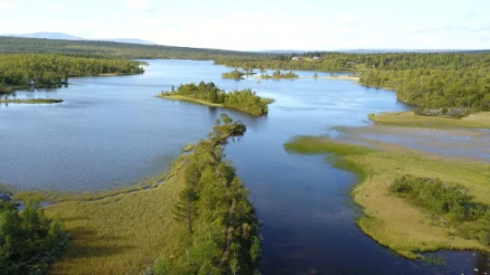 Bilde av Esker