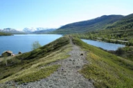 Enkel og kort esker som er enkel å identifisere fordi den ligger ut i innsjøen Øvre Sjodalsvann. Vågå kommune, Oppland.
