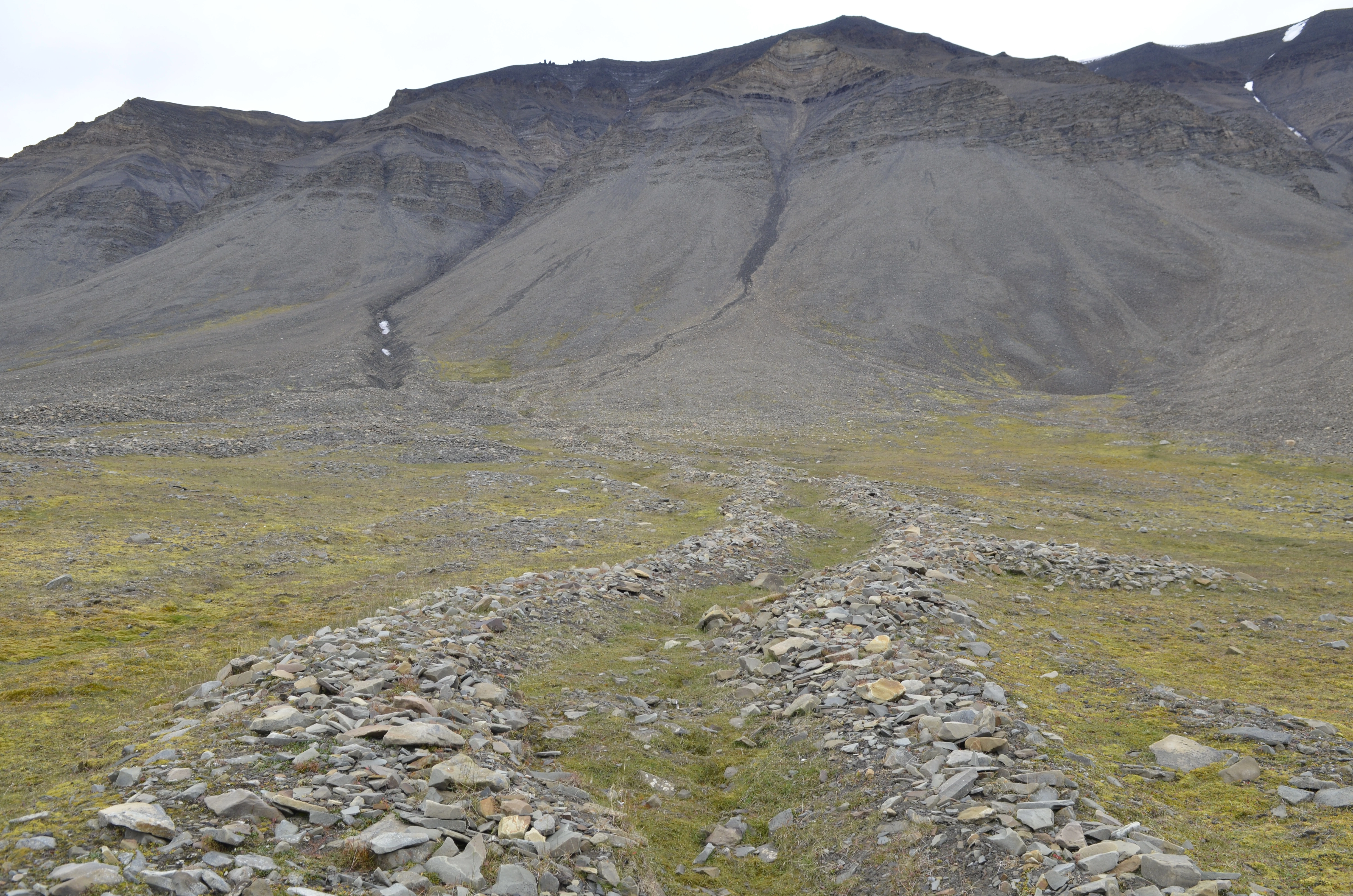 NIN-3.0-T-A-LV-FL-0-L-L01 Flomskredformer.