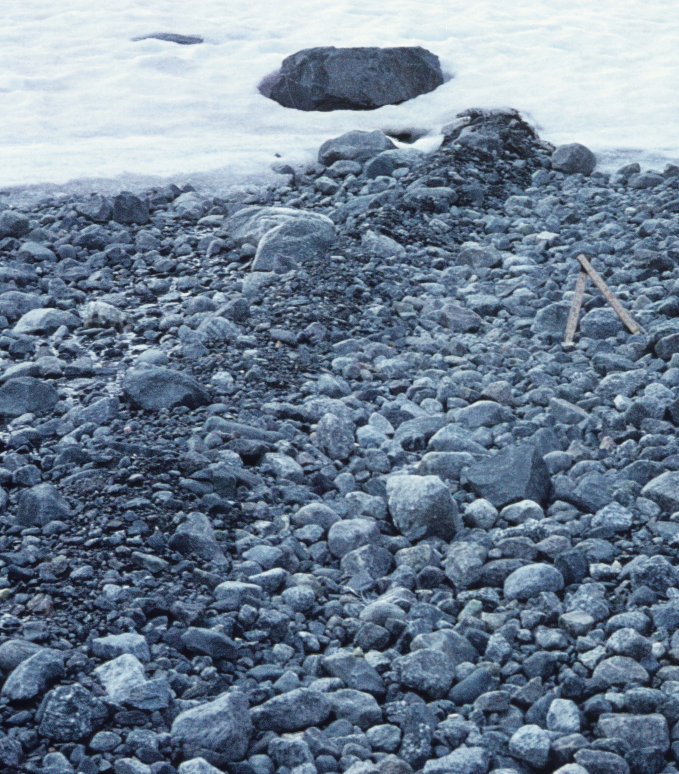 NIN-3.0-T-A-LV-FL-0-L-H07 Flute.