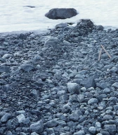Nyutsmeltet liten flute, Storbreen. Lom, Oppland.
