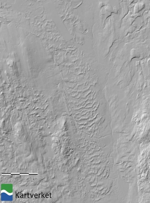 NIN-3.0-T-A-LV-FL-0-L-O02 Flygesanddyne.