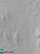Øst fra Elverum, Hedmark, ligger det flere tverrgående nær parallelle flygesanddyner med en gradvis overgang til tungformete (parabolske) flygesanddyner mot sør. Dominerende vindretningen under dannelsen kommer fra nord. Kilde: hoydedata.no
