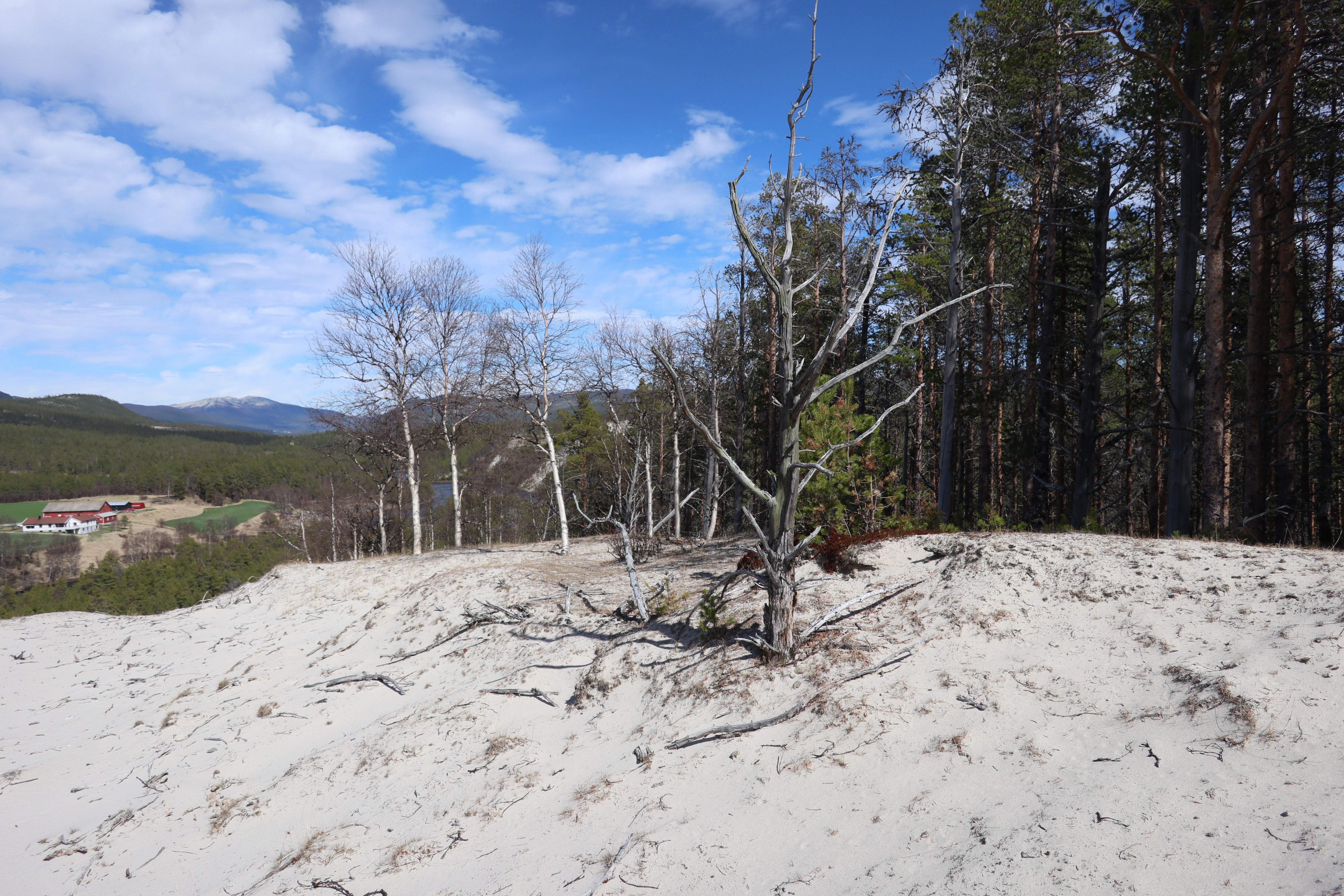 NIN-3.0-T-A-LV-FL-0-L-O02 Flygesanddyne.