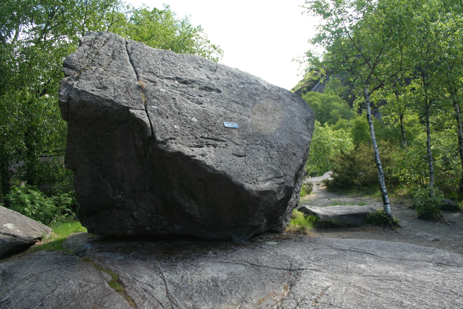 Bilde av naturtypen