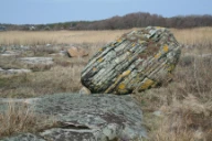 Flyttblokk i tydelig avvikende bergart, Hvaler, Østfold.
