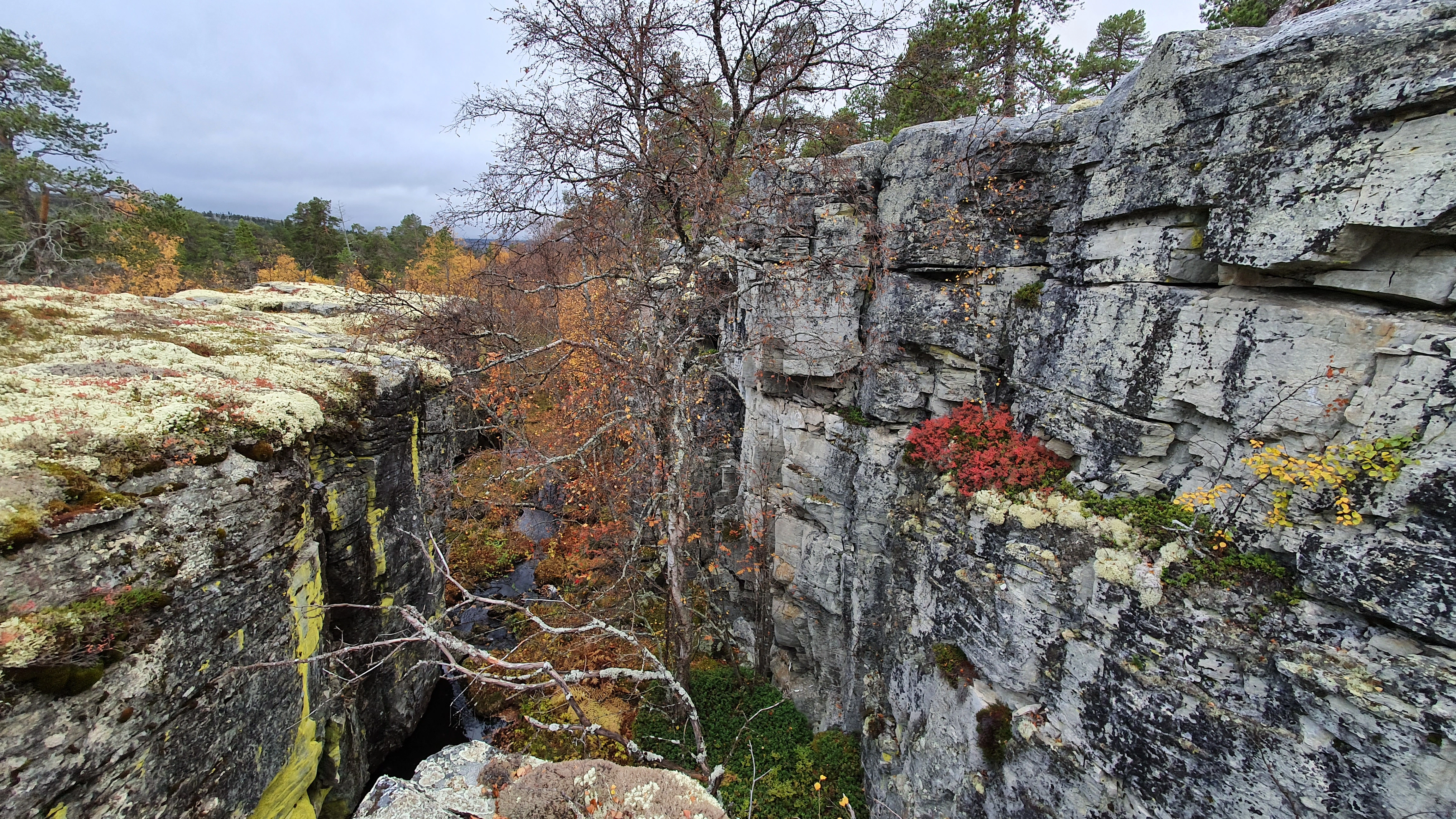 NIN-3.0-T-A-LV-FL-0-L-A03 Gjel.