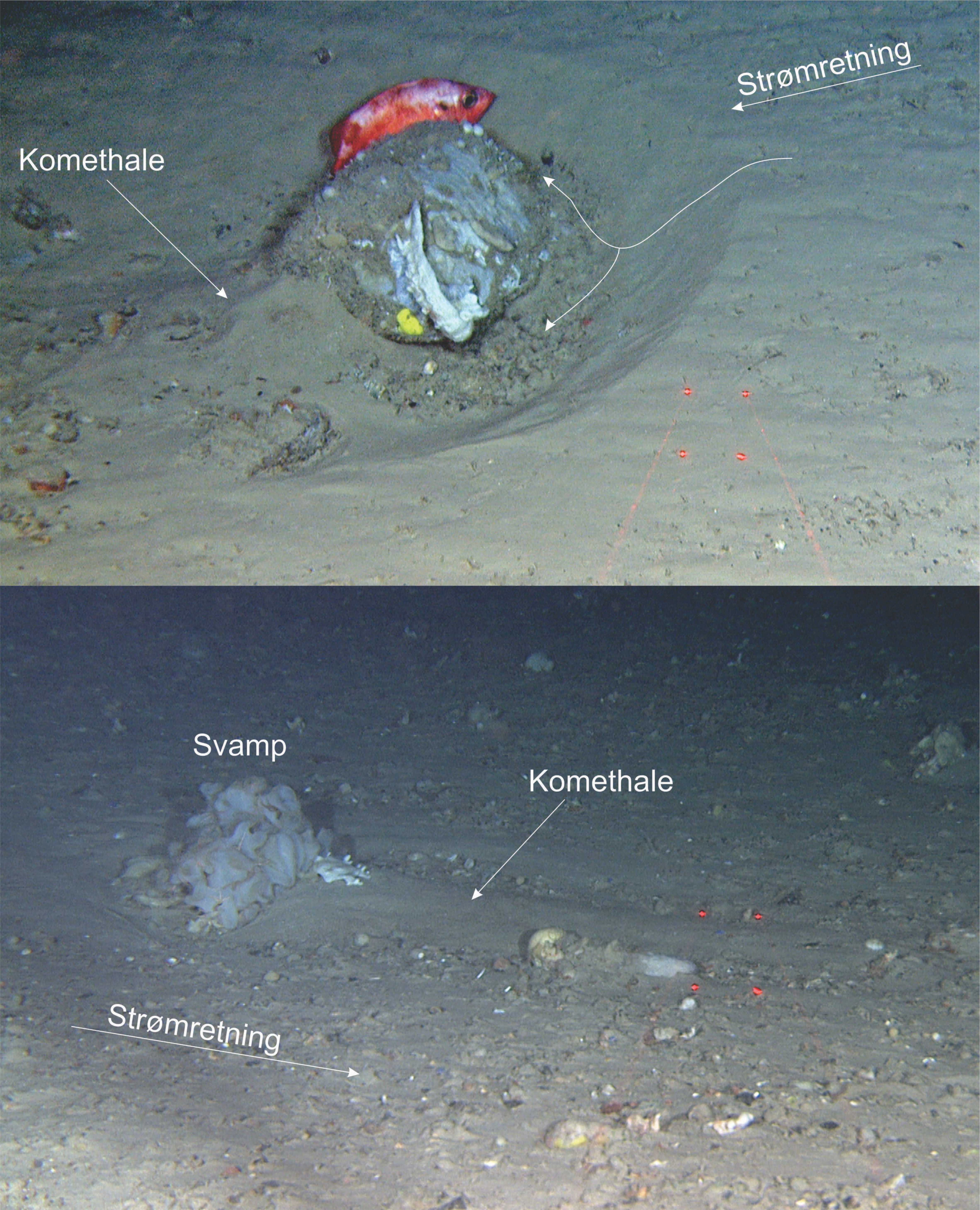 NIN-3.0-T-A-LV-FL-0-L-M07 Havbunnsstrømningsspor.