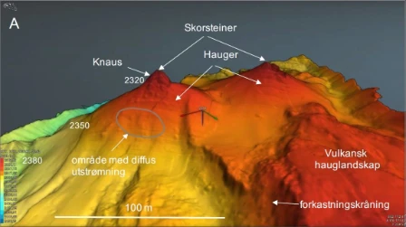 Bilde av Hydrotermisk haug