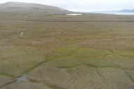 Iskilepolygonmark – tatt fra helikopter ved Barentsøya (Svalbard).
