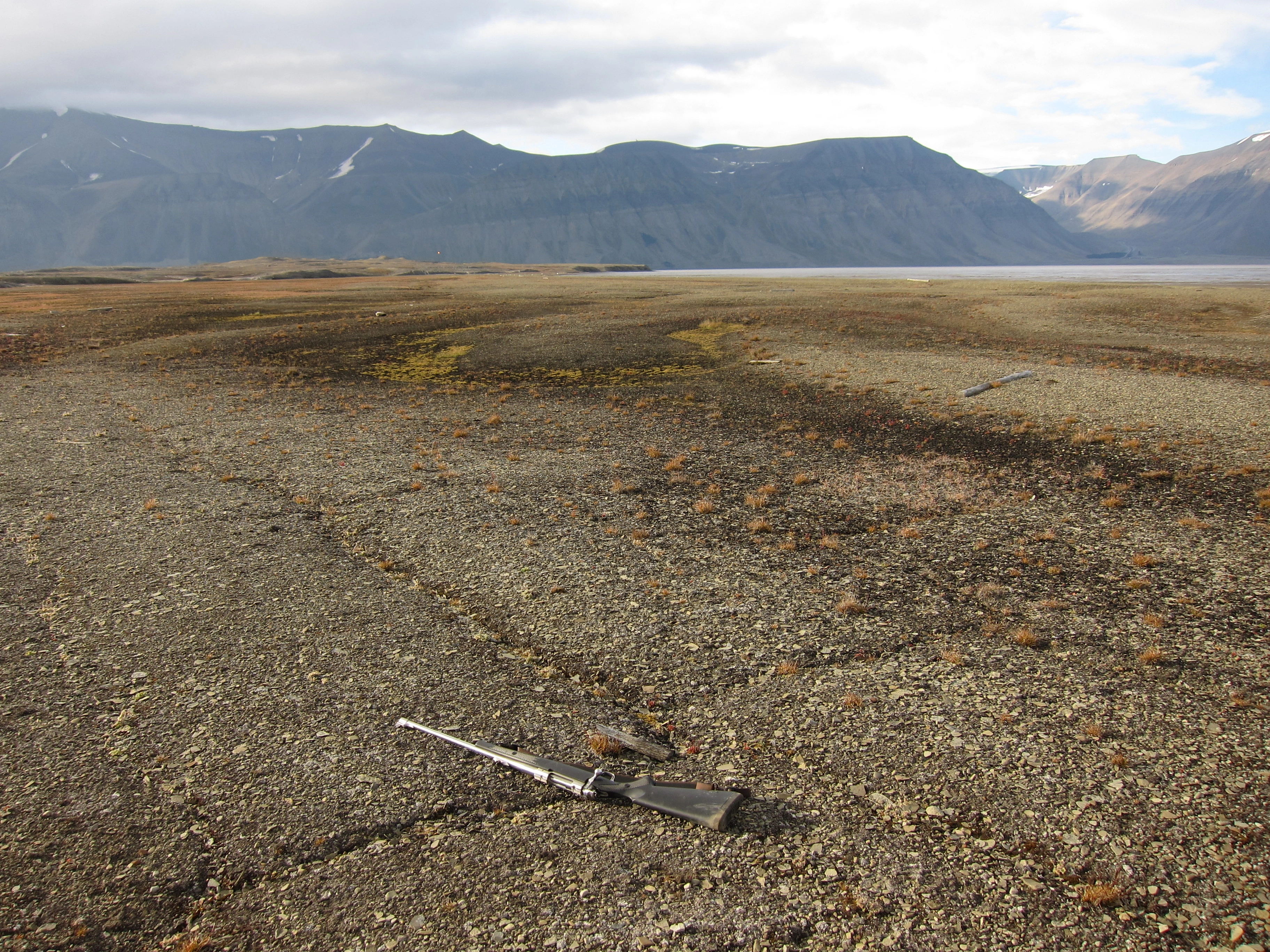 NIN-3.0-T-A-LV-FL-0-L-F01 Iskile.