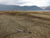 Iskilepolygon. Sveabukta, Svalbard.
