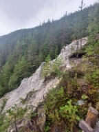 Kvitskriuprestein i Uladalen, 2023. De aller fleste pyramidene er nå rast. Dette er en naturlig prosess siden slike pyramider har en begrenset levetid.
