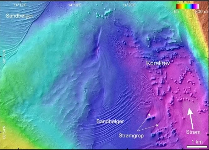 NIN-3.0-T-A-LV-FL-0-L-B01 Korallrev.
