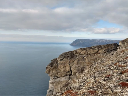 Bilde av Kystklippe