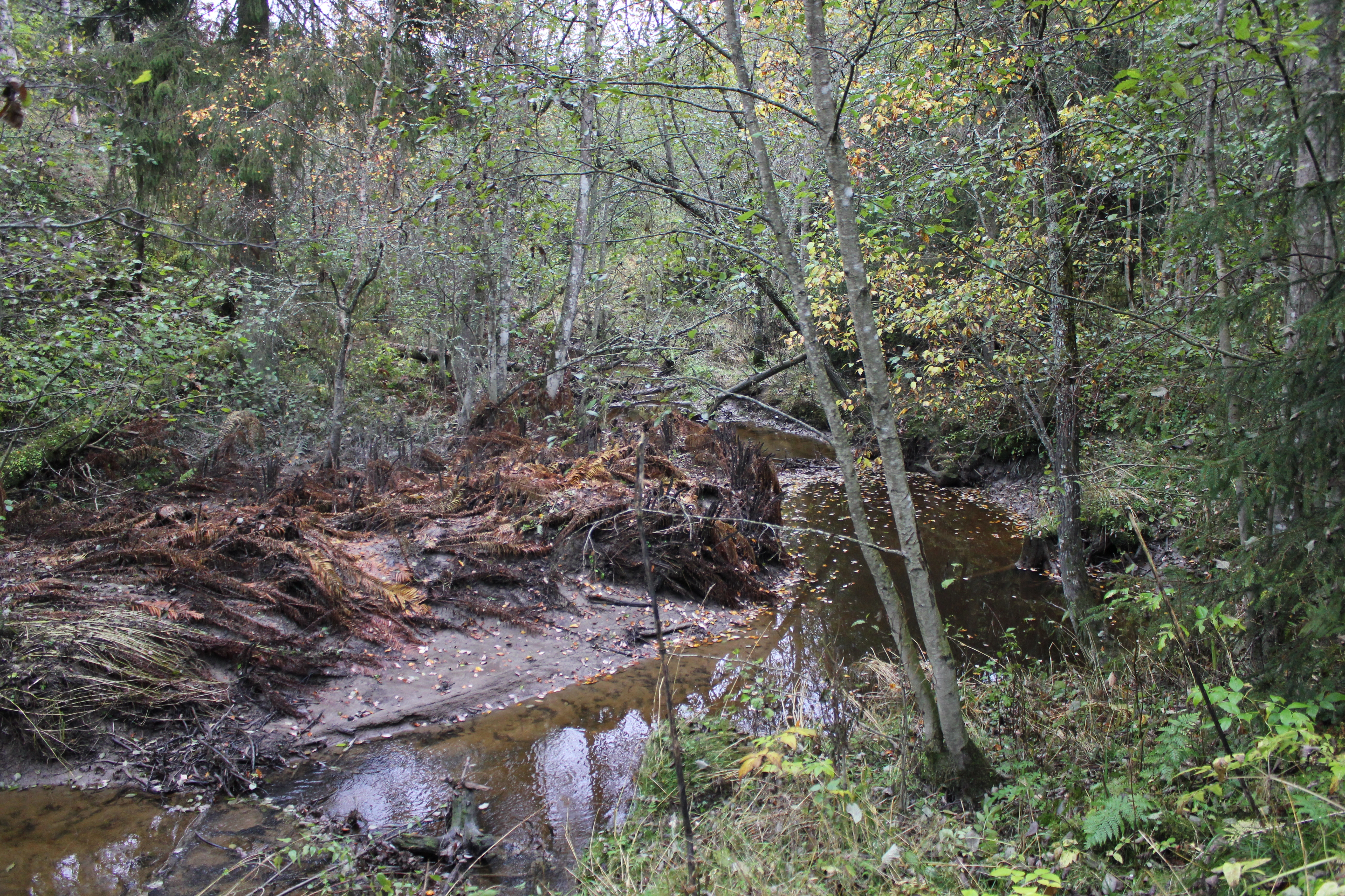 NIN-3.0-T-A-LV-FL-0-L-D05 Leirravine.