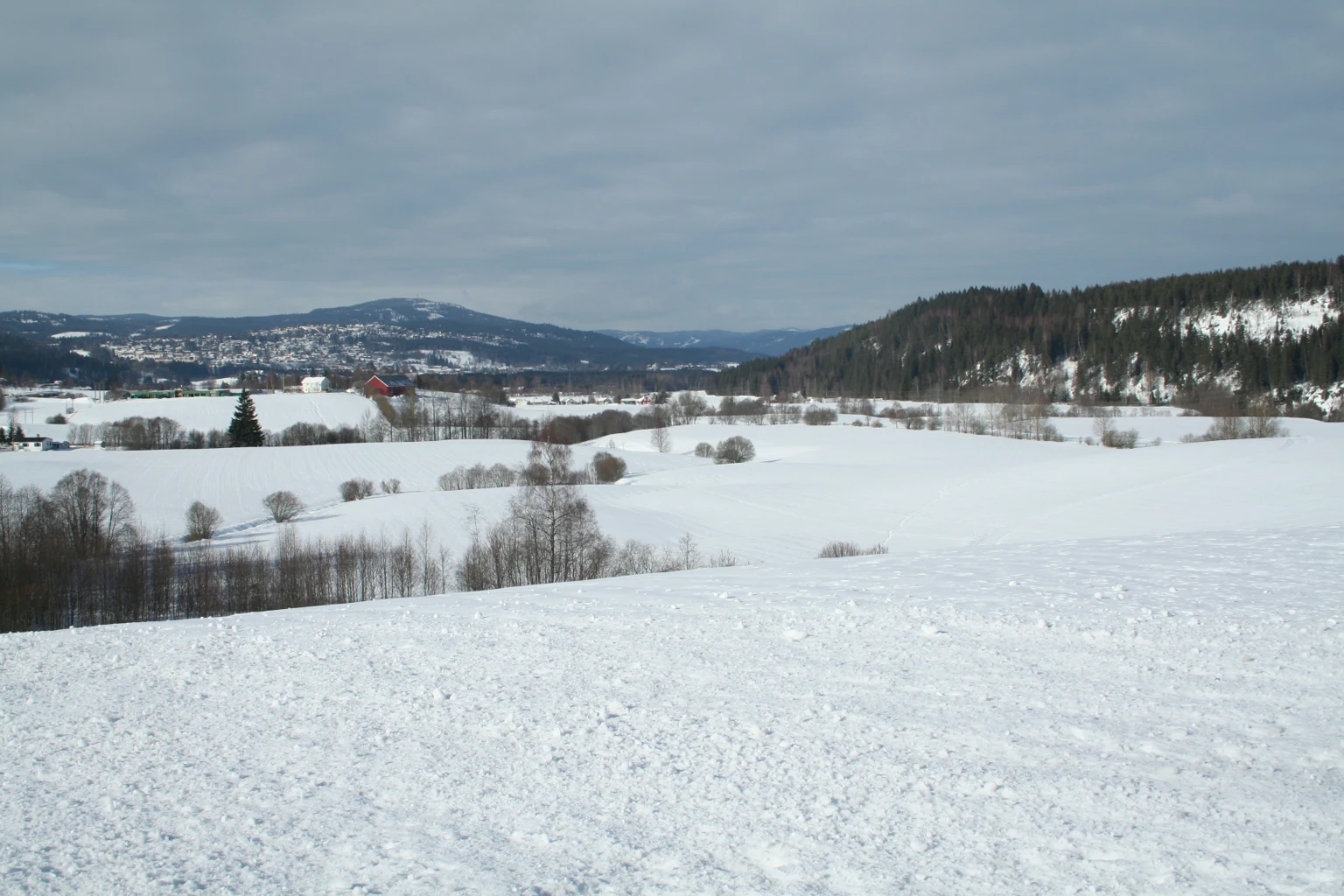 Bilde av naturtypen