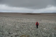Morenehaug («ringmorene») i blokkmark på Storkløftfjellet Berlevåg og Båtsfjord, Finnmark.
