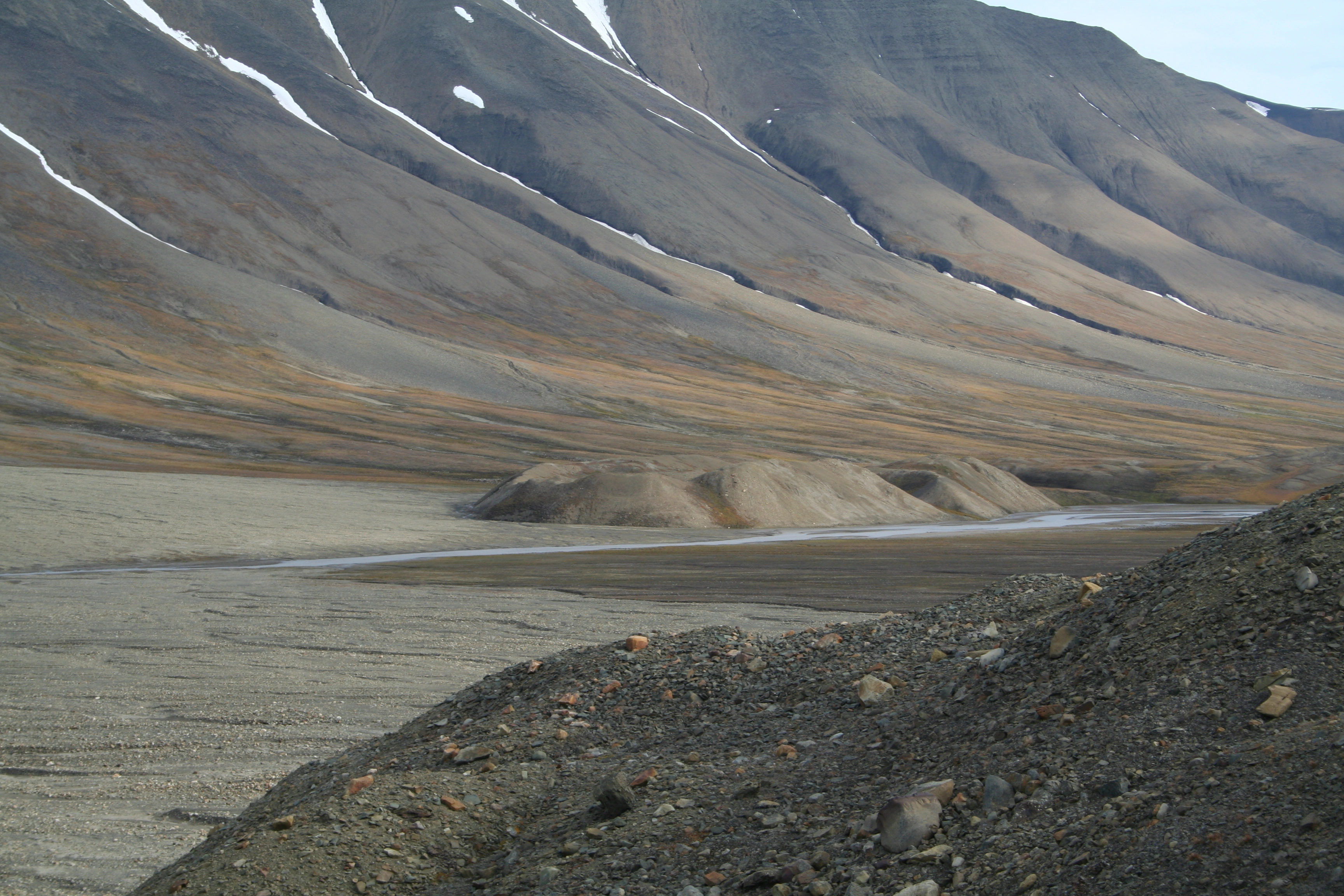 NIN-3.0-T-A-LV-FL-0-L-F02 Pingo.