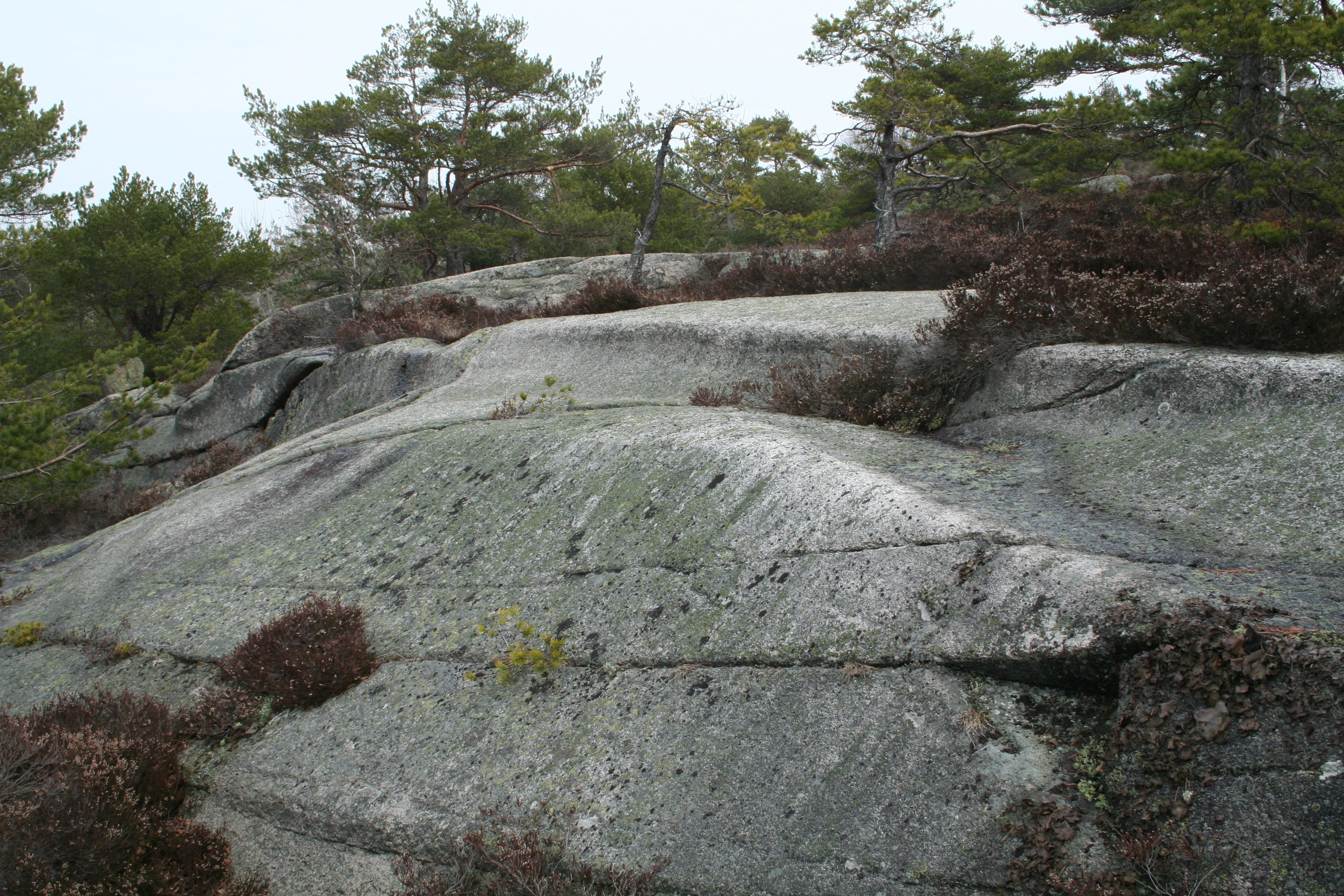 NIN-3.0-T-A-LV-FL-0-L-H22 Plastisk form.