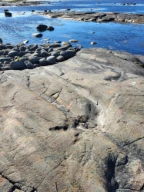 P-former i fjelloverflaten. Asmaløy, Hvaler, Østfold.
