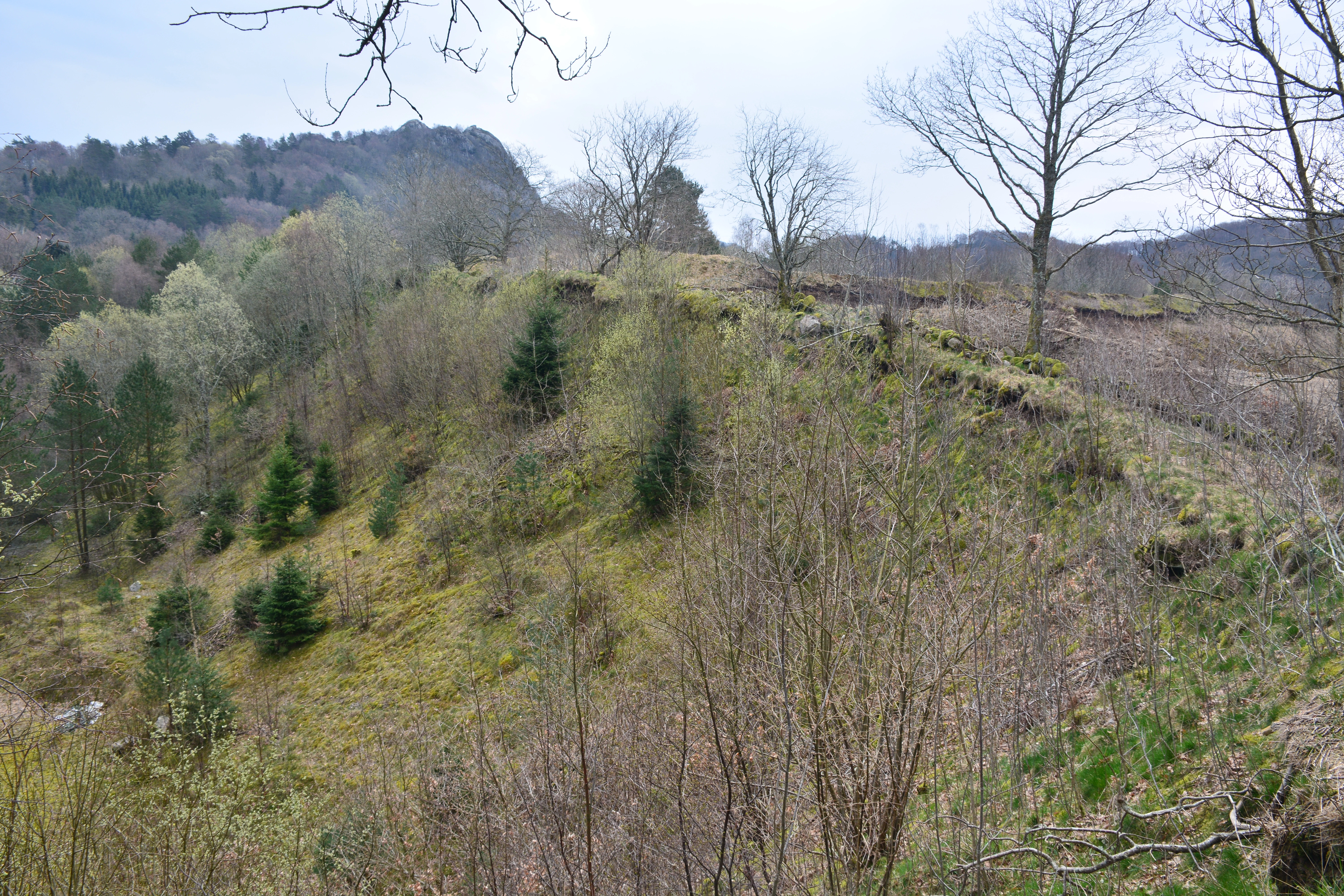 NIN-3.0-T-A-LV-FL-0-L-H23 Randmorene.