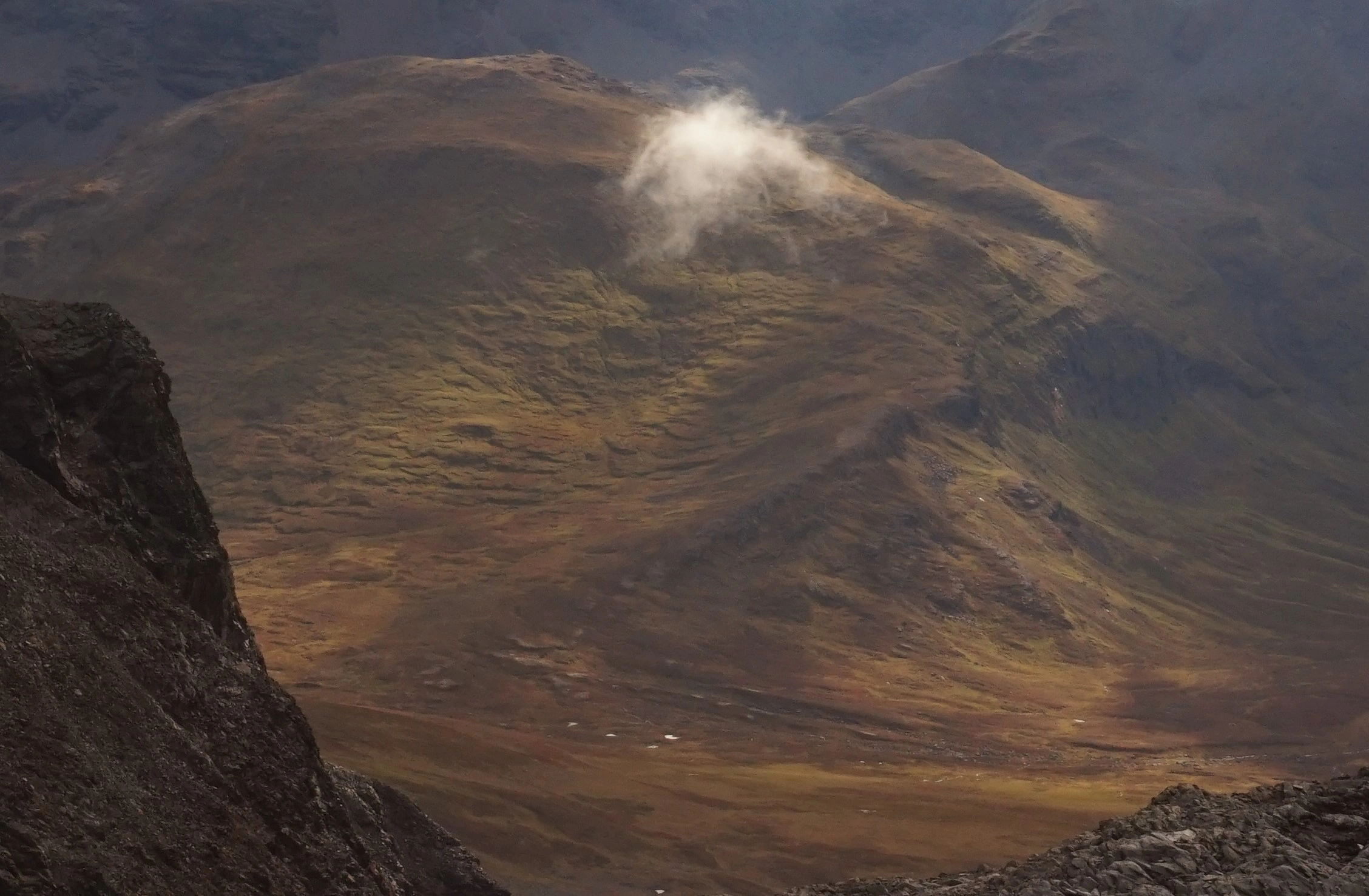 NIN-3.0-T-A-LV-FL-0-L-F05 Sigejordstunge.