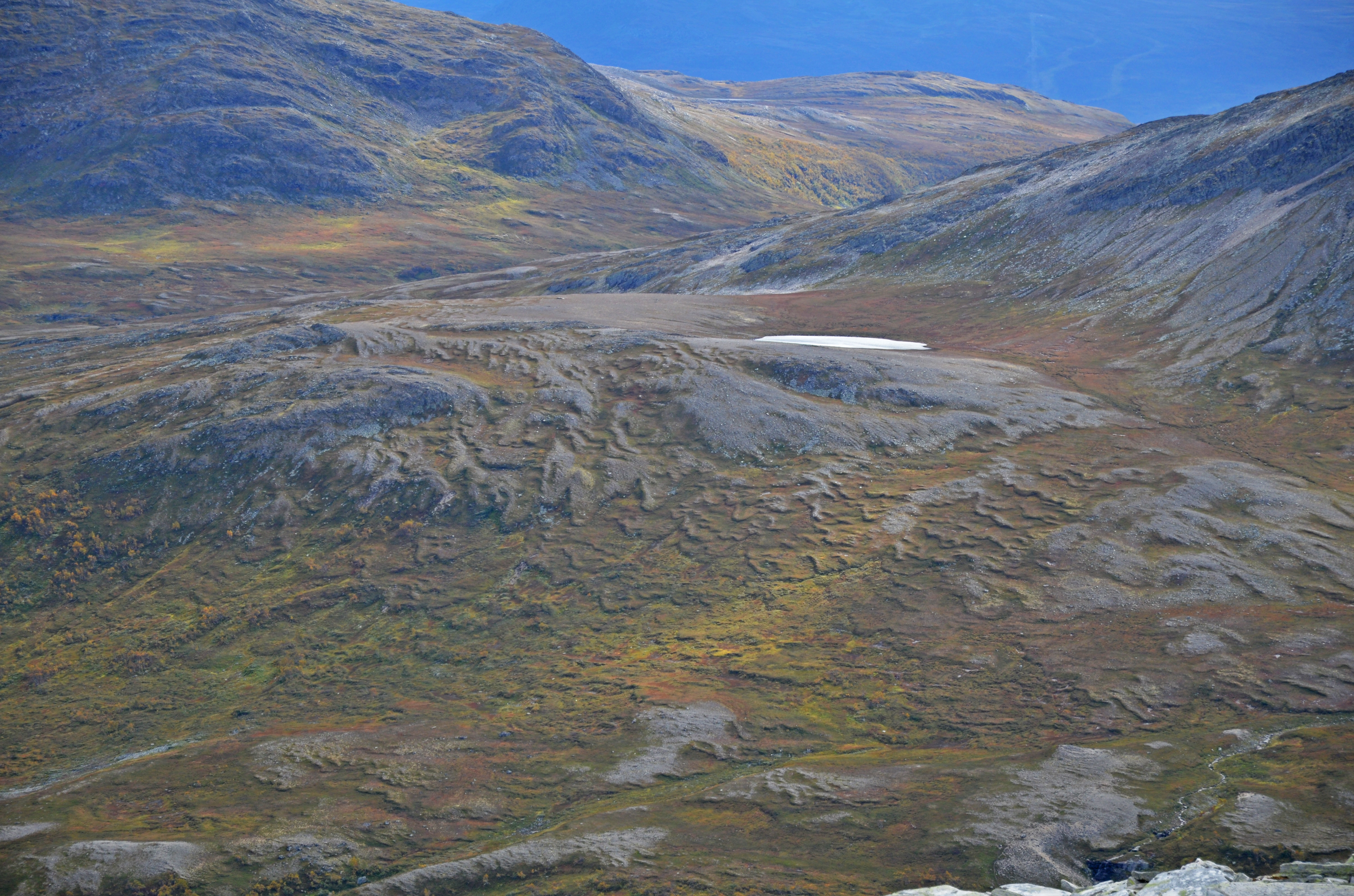 NIN-3.0-T-A-LV-FL-0-L-F05 Sigejordstunge.