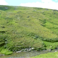 Sigejordstunger. Ryphusan, Vinstradalen i Oppdal, Trøndelag.
